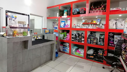 AF1QipOj_l_rbbeMEg6Ud_PSHsGmkfMQPDadRjNH_wmFw426-h240-k-no.jpg