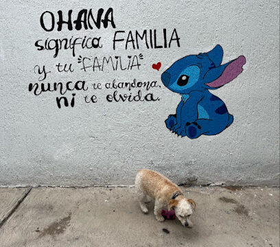AF1QipOqXlshXCxNqrf8v7WPaY3rJWukdqiqHuVts_QJw408-h414-k-no.jpg