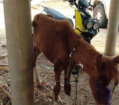 AF1QipPUzIXRzPvMuAh7eLZhqhGBTS-LvUN5_hz_UKvHw408-h861-k-no.jpg