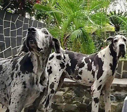 AF1QipPnqZzhKeyBuVpnmF2BZ2iQgePy7uM7FzkzSKYXw408-h418-k-no.jpg
