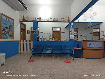 AF1QipPpfwcmqX8dqQGRCIGOQ9Q7Yl5HsteGWR2GZ6zgw408-h306-k-no.jpg