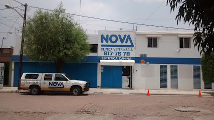UlkBqVmb7tQExolxQWd41XWNPphS8ERRnRsf6Z97Z7bN4sMHe6NEpNnXTlo7V2eVw427-h240-k-no.jpg