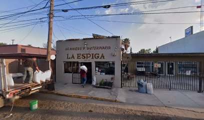 thumbnail-1307.jpg