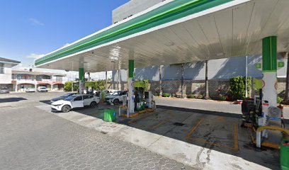 thumbnail-338.jpg