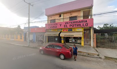 thumbnail-386.jpg