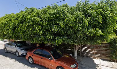 thumbnail-438.jpg