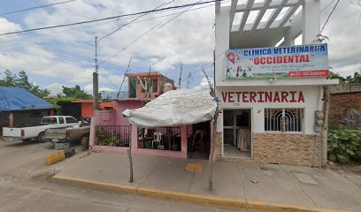 thumbnail-482.jpg