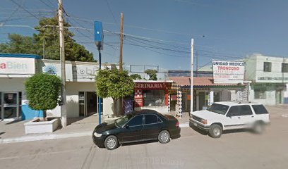 thumbnail-487.jpg