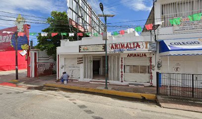 thumbnail-904.jpg